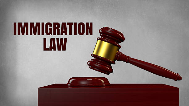 Immigration Habeas Corpus Attorney