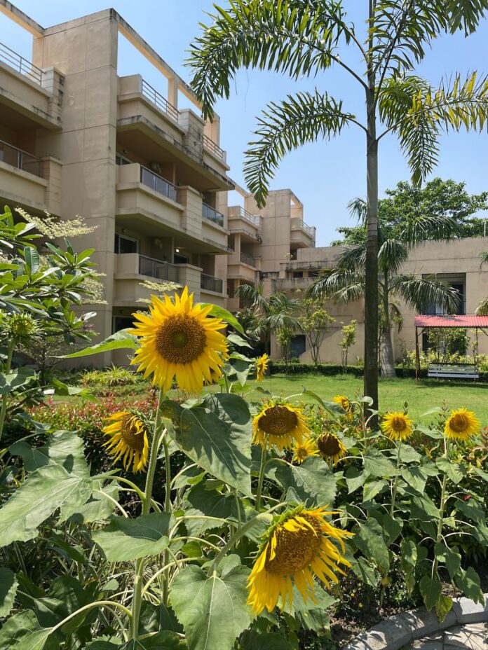 luxury senior living facilities